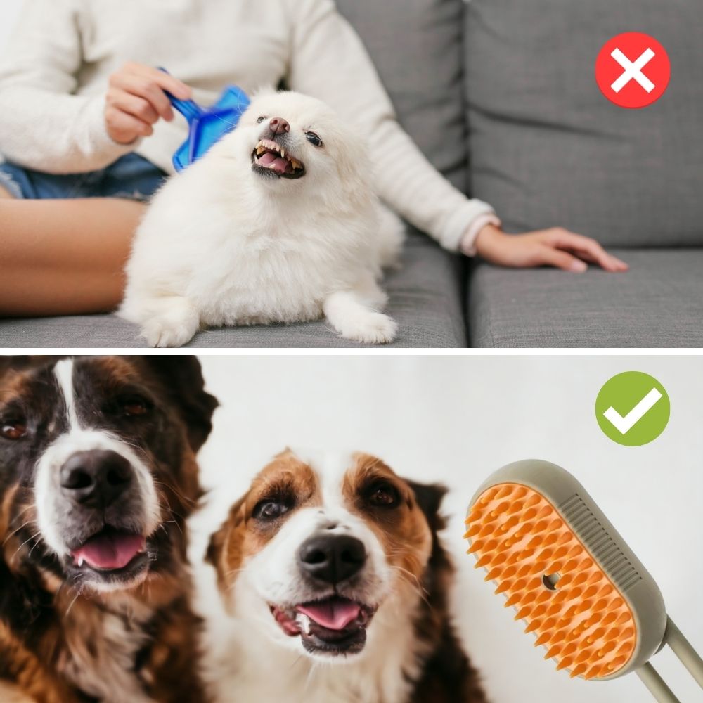 PawsCare™ | 3 in 1 Electric Pet Grooming Brush